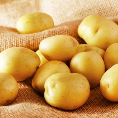 depositphotos 14308261 stock photo raw potato